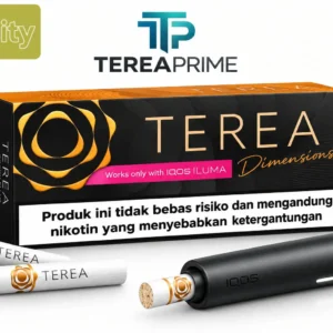 IQOS TEREA Dimensions Apricity: What Adult Users Should Know